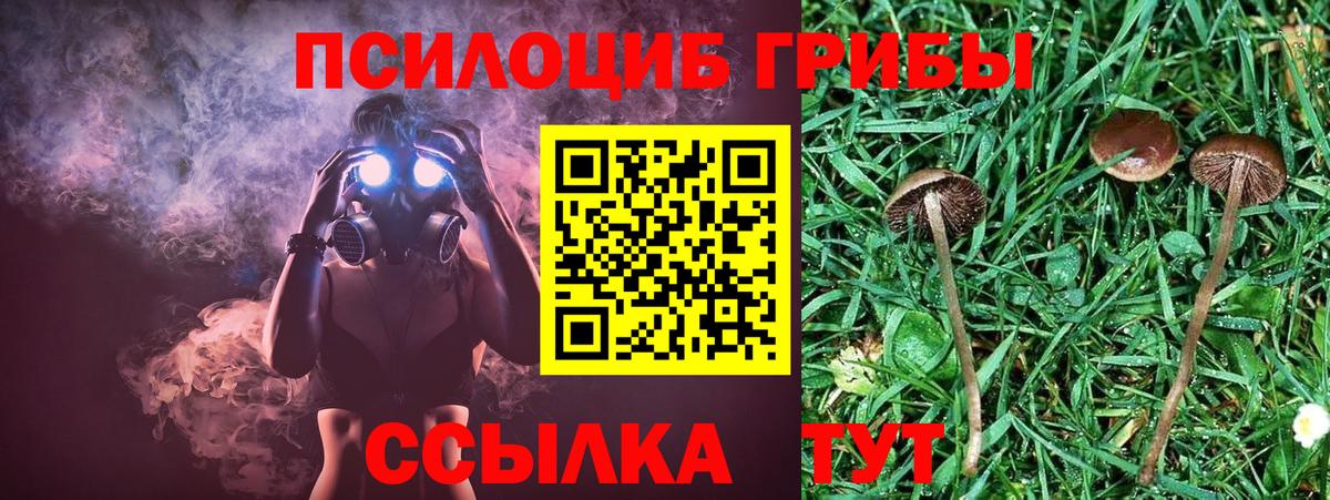 Галлюциногенные грибы Cubensis  Вход с VPN  Рязань  Псилоцибиновые грибы Cubensis 