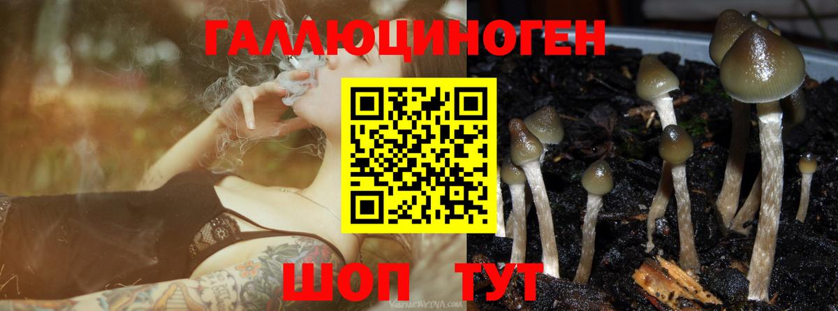 Галлюциногенные грибы прущие грибы Рязань